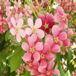 Front Page -EcoHaven Shop 1 8f4cd5d6 82b8 44ae 9454 d7f82135d036