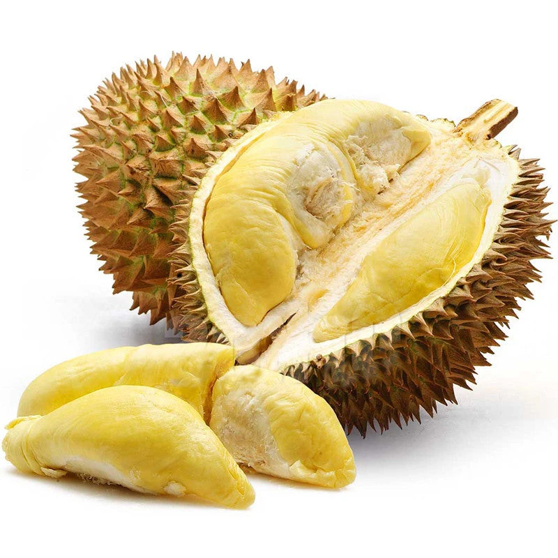 Durian Fruit - Fruit Plants & Tree 1 Durian Fruit - Fruit Plants & Tree