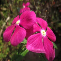 Front Page 16 Front Page -EcoHaven Shop 2 7047a73f 73fe 470a a869 d1b96c069361