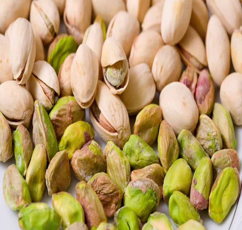 Pistachio (Grafted) -Fruit Plants & Tree 1 Pistachio (Grafted) -Fruit Plants & Tree