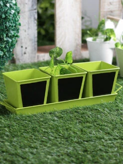 Set Of Three Chalk Board Painted Herb Pots Green