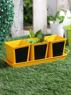 Set Of Three Chalk Board Painted Herb Pots Yellow