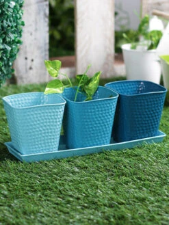 Set Of Three Herb Pots Blue