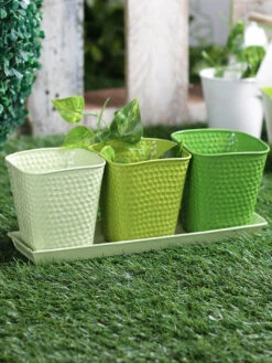 Set Of Three Herb Pots Green