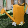 Design Embossed Watercane Yellow