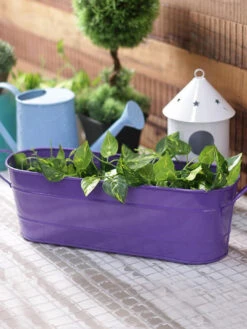 Oval Planter Large Purple