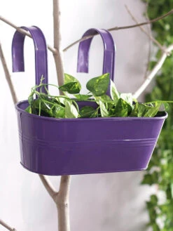 Oval Railing Planter Big Purple
