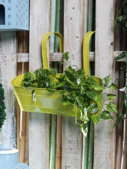 Oval Railing Planter Large Yellow