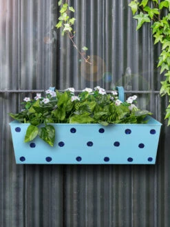 Polka Dot Rectangle Planter Blue