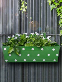 Polka Dot Rectangle Planter Green