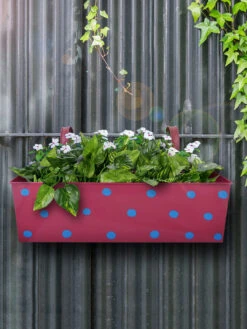 Polka Dot Rectangle Planter Pink