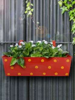 Polka Dot Rectangle Planter Red