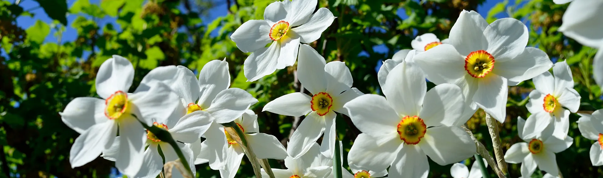 Front Page -EcoHaven Shop banner935